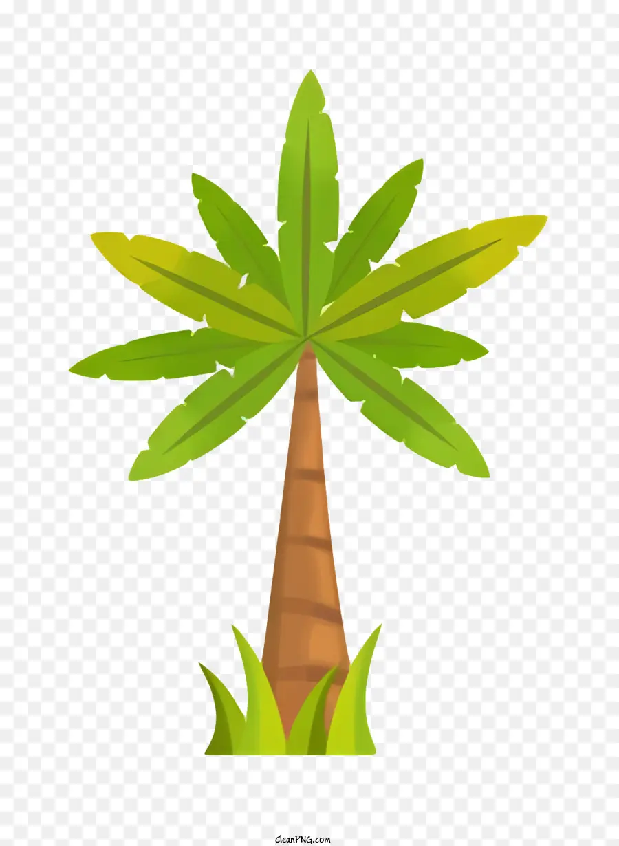 Palmera，Hojas Verdes PNG