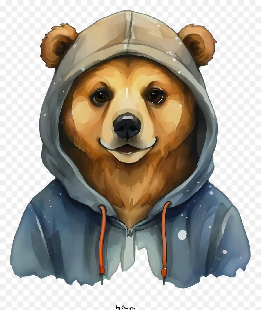 Pintura De Acuarela，Oso Con Capucha PNG