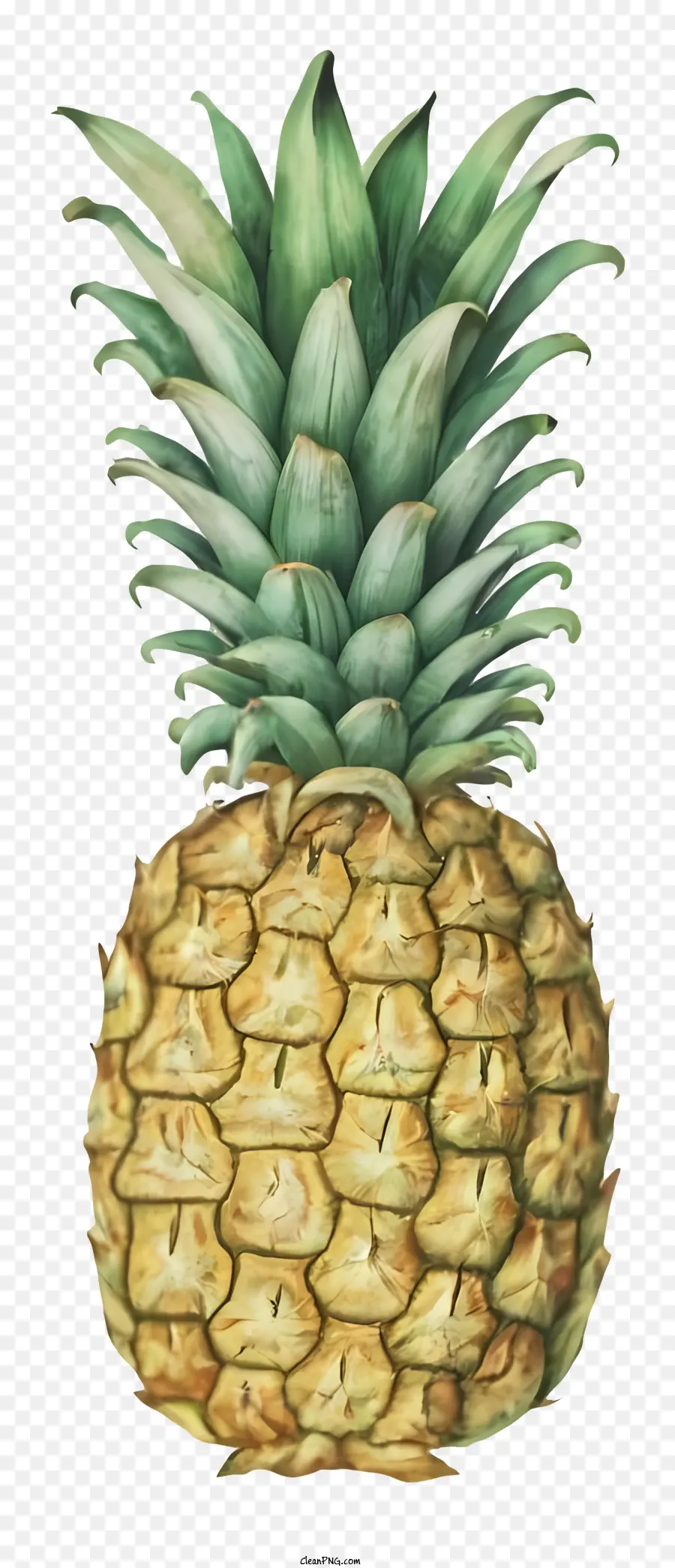 Piña Fruta，Amarillo Piña PNG