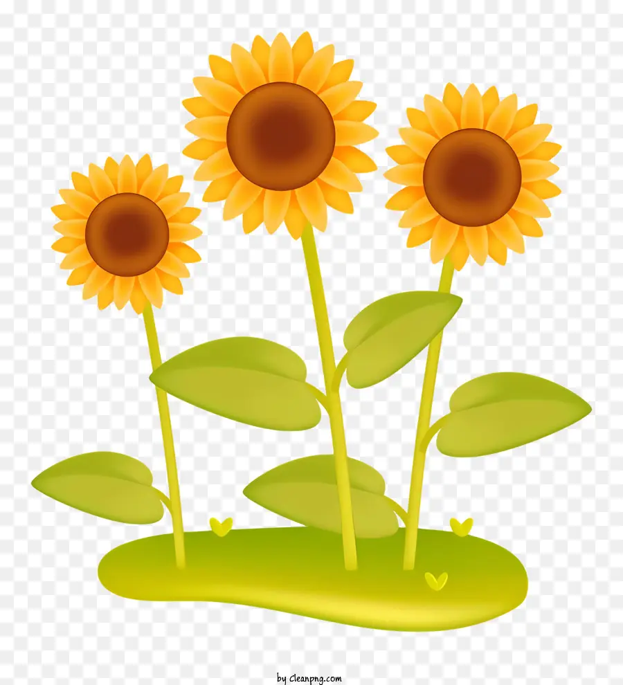 Girasoles，Amarillo PNG