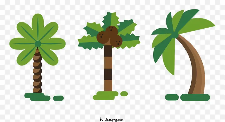 Los árboles De Palma，Tres Palmeras PNG