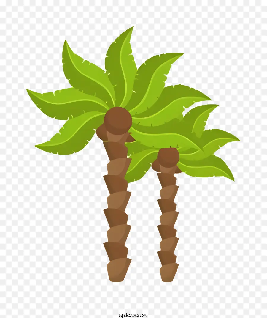 Los árboles De Palma，Hojas Verdes PNG