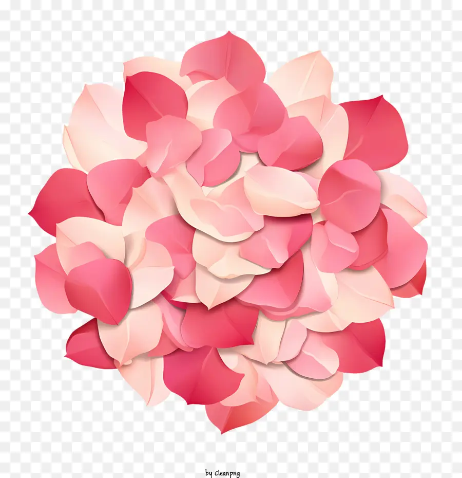 Pétalos De Rosa，Flores De Color Rosa PNG