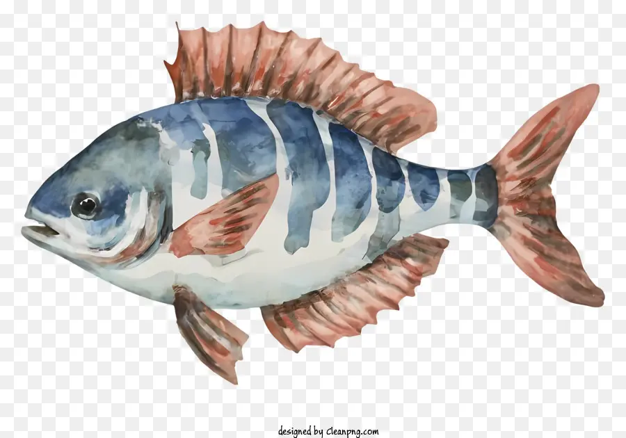 Pintura De Peces，Pez PNG