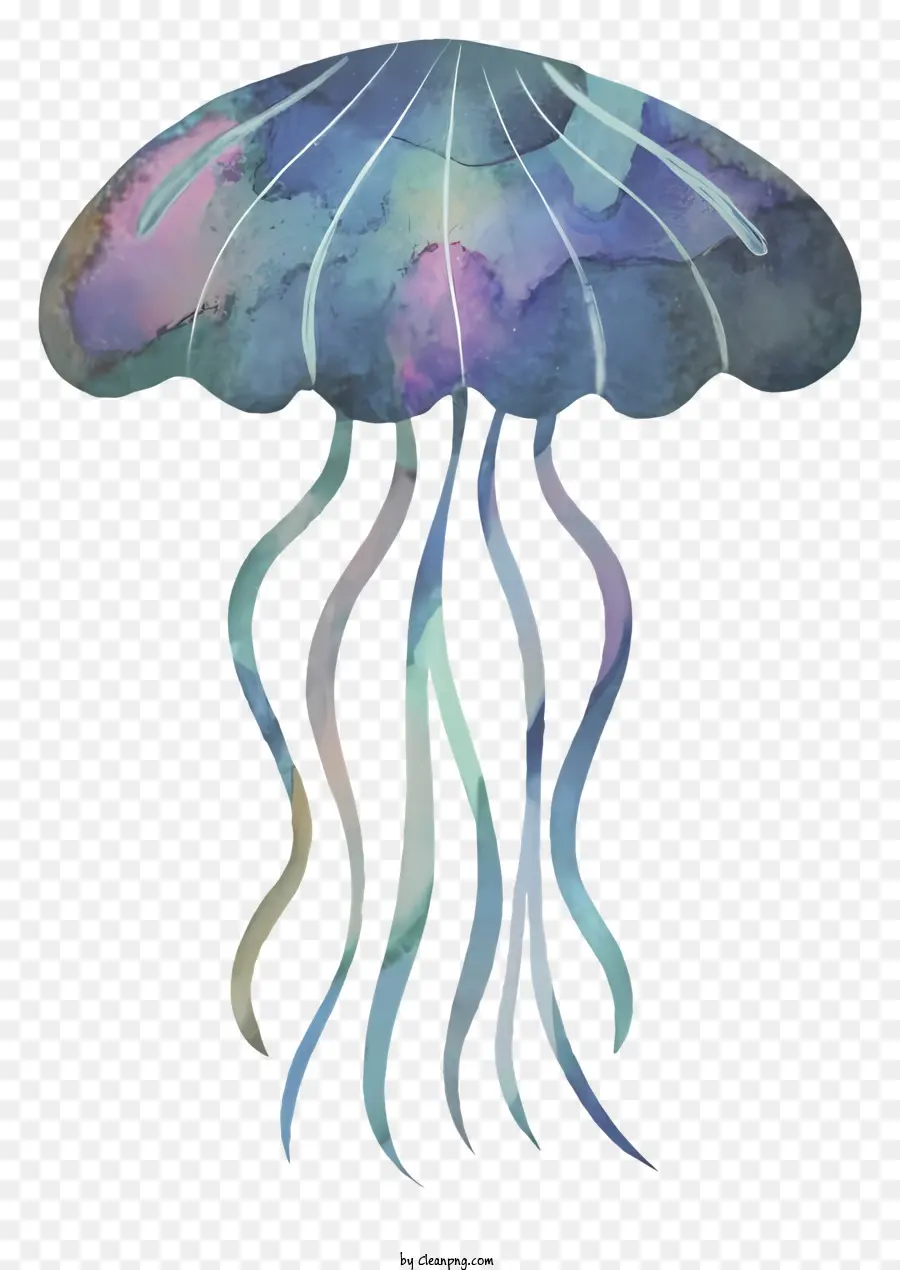 Pintura De Medusas，Arte Colorido De Medusas PNG