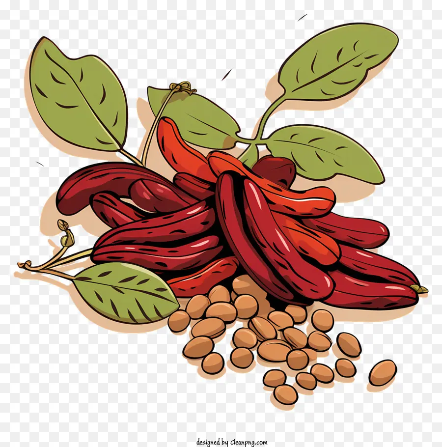 Frijoles Secos，Cocinar Frijoles PNG