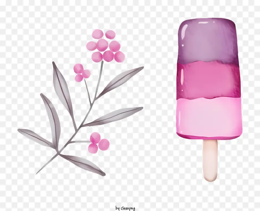 Paleta Rosa，Paleta PNG