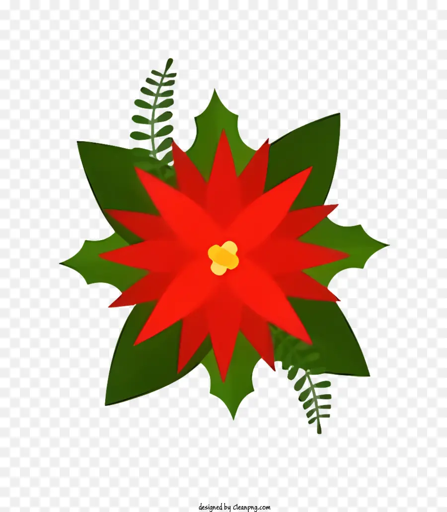 Flor De Poinsettia Roja，Hojas Verdes PNG