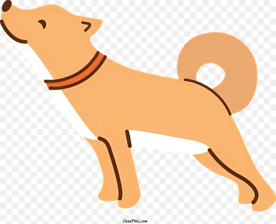 Perro Vector，Perro De Cuello Blanco PNG