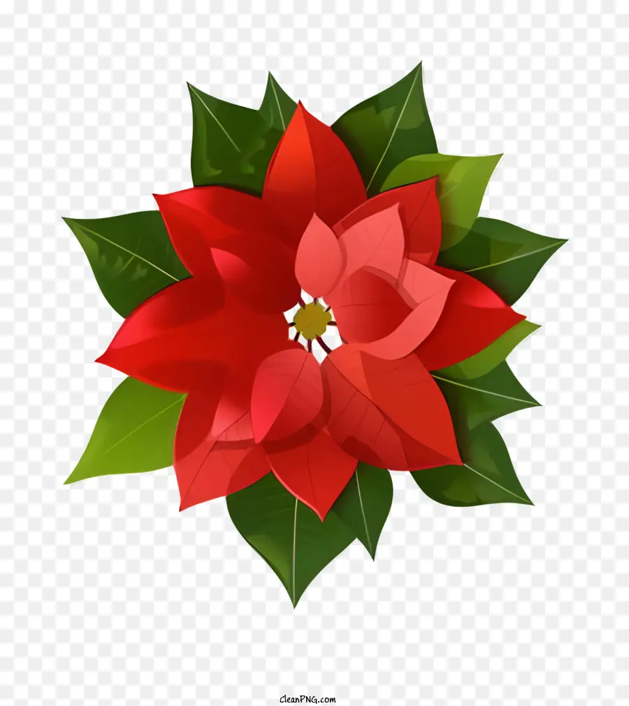 La Flor De Pascua Flor，Pétalos Rojos PNG