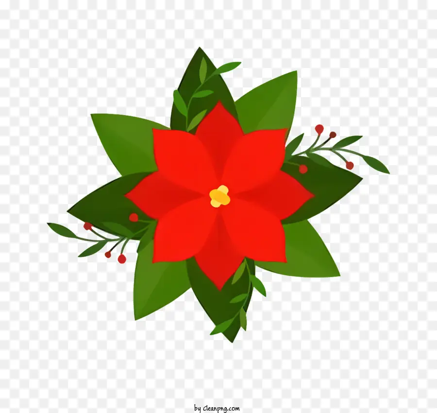 Flor De Pascua，Flor Roja PNG