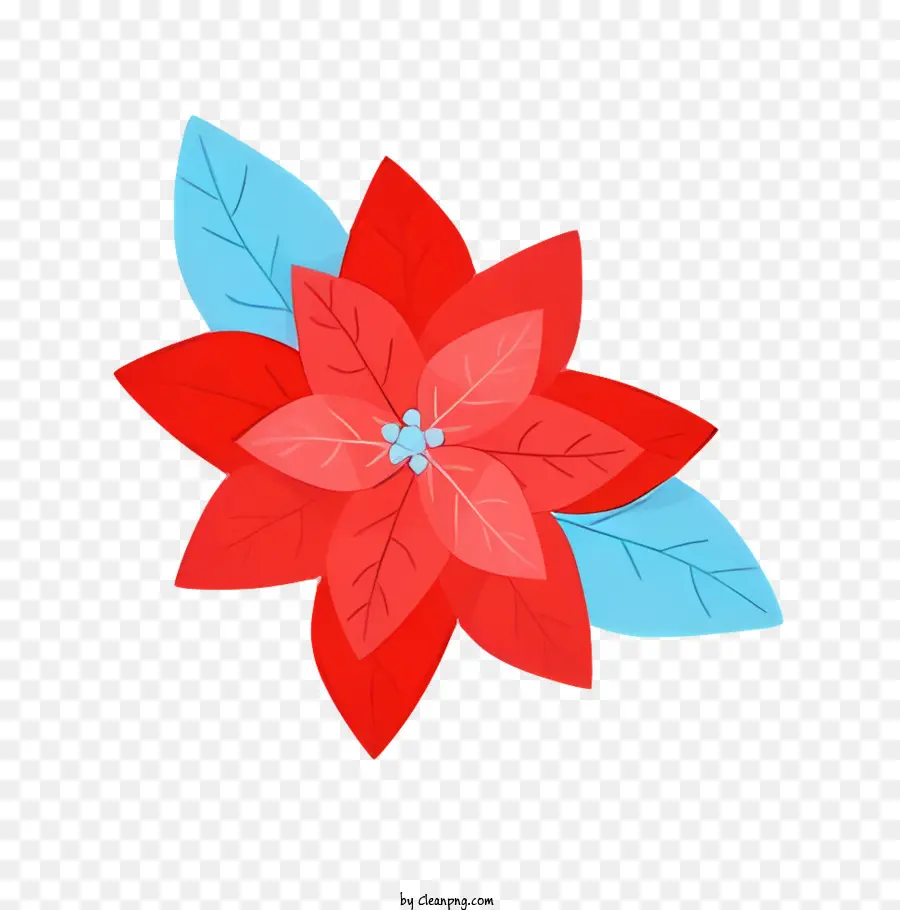 Flor De Poinsettia Roja，Las Hojas Azules PNG