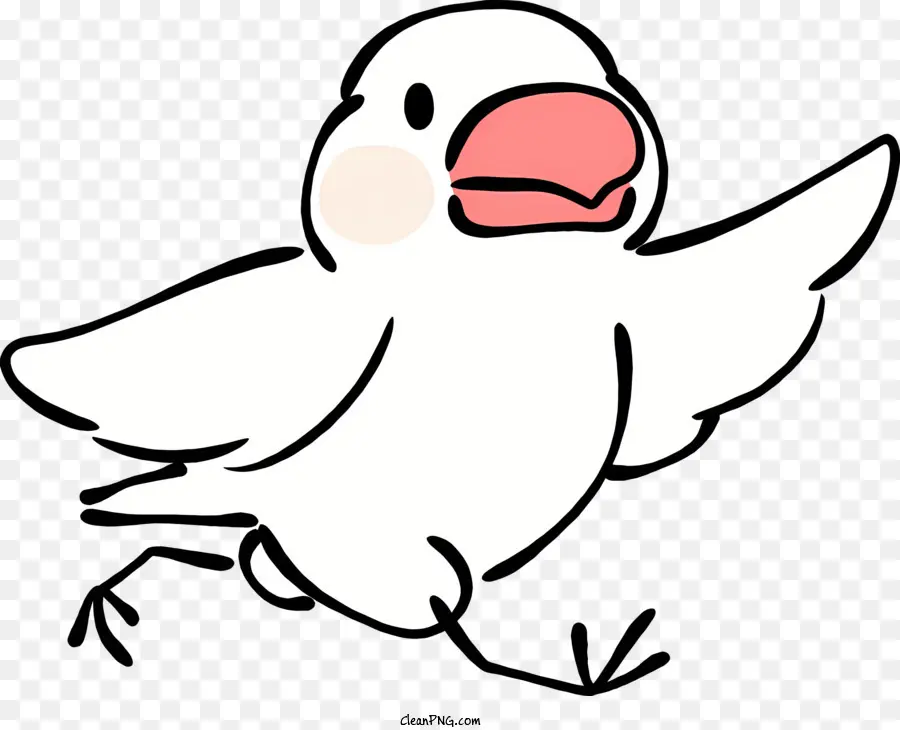 Pájaro Blanco，Ave Que Vuela PNG