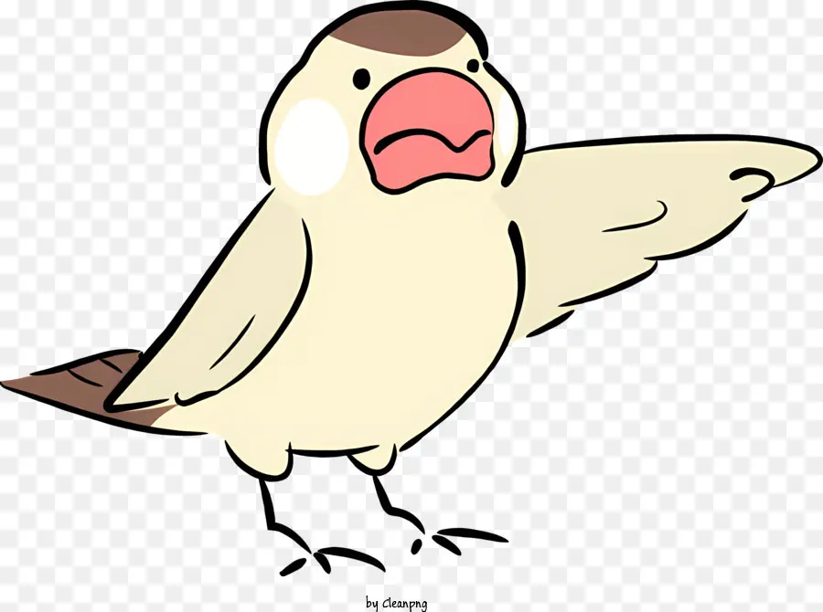 De Dibujos Animados De Aves，Estilo Realista Simple PNG