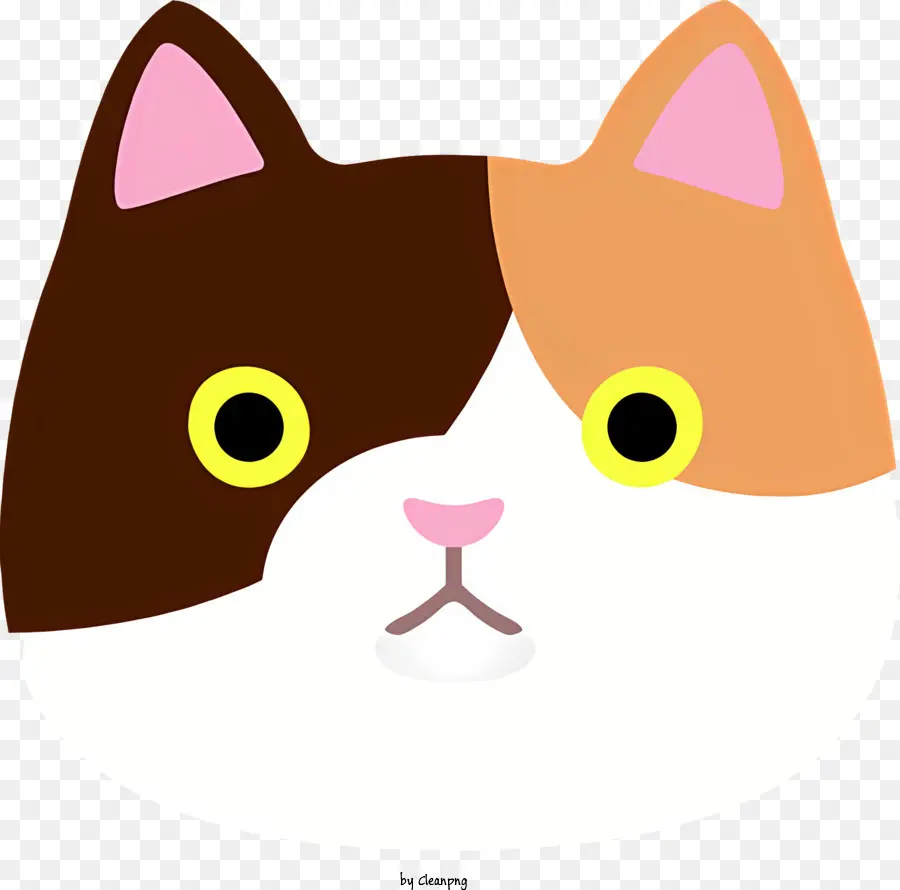 Los Gatos Cara，Ojos Grandes PNG