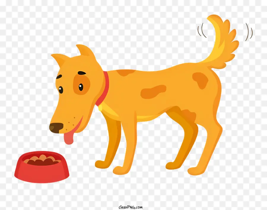 Perro，Tazón Rojo PNG