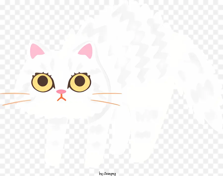 Gato Blanco，Grandes Ojos Redondos PNG