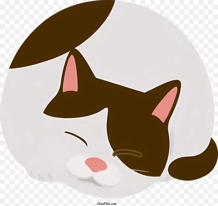 Gato Durmiendo，Gato PNG