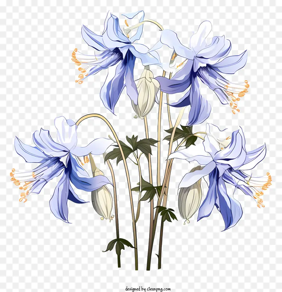 Flores Clemátectas Azules，Vertical Flores PNG