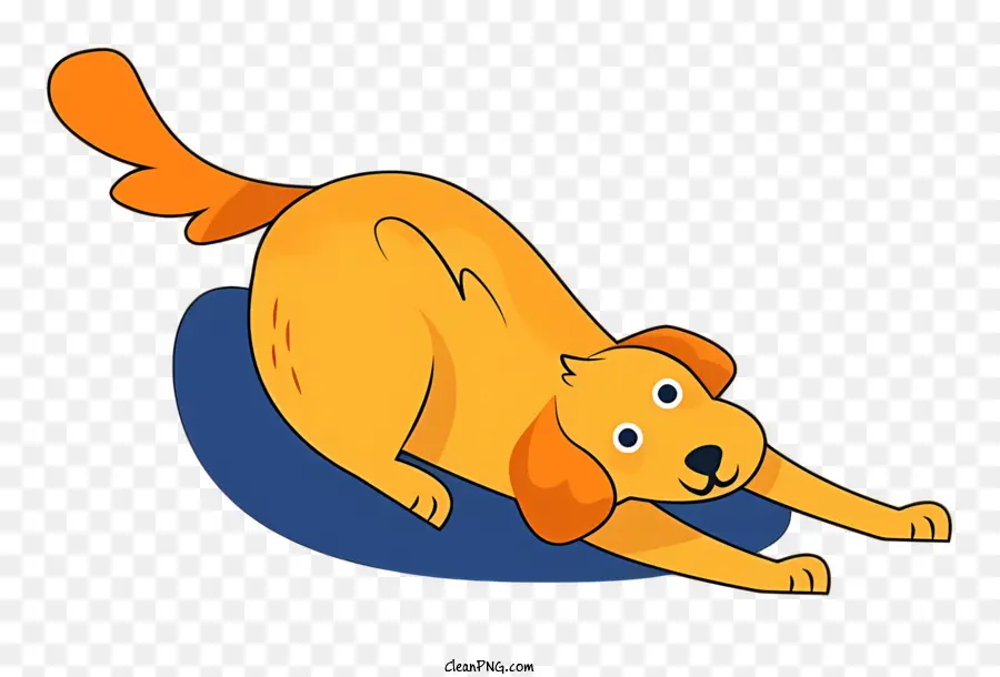 Perro De Dibujos Animados，Perro PNG