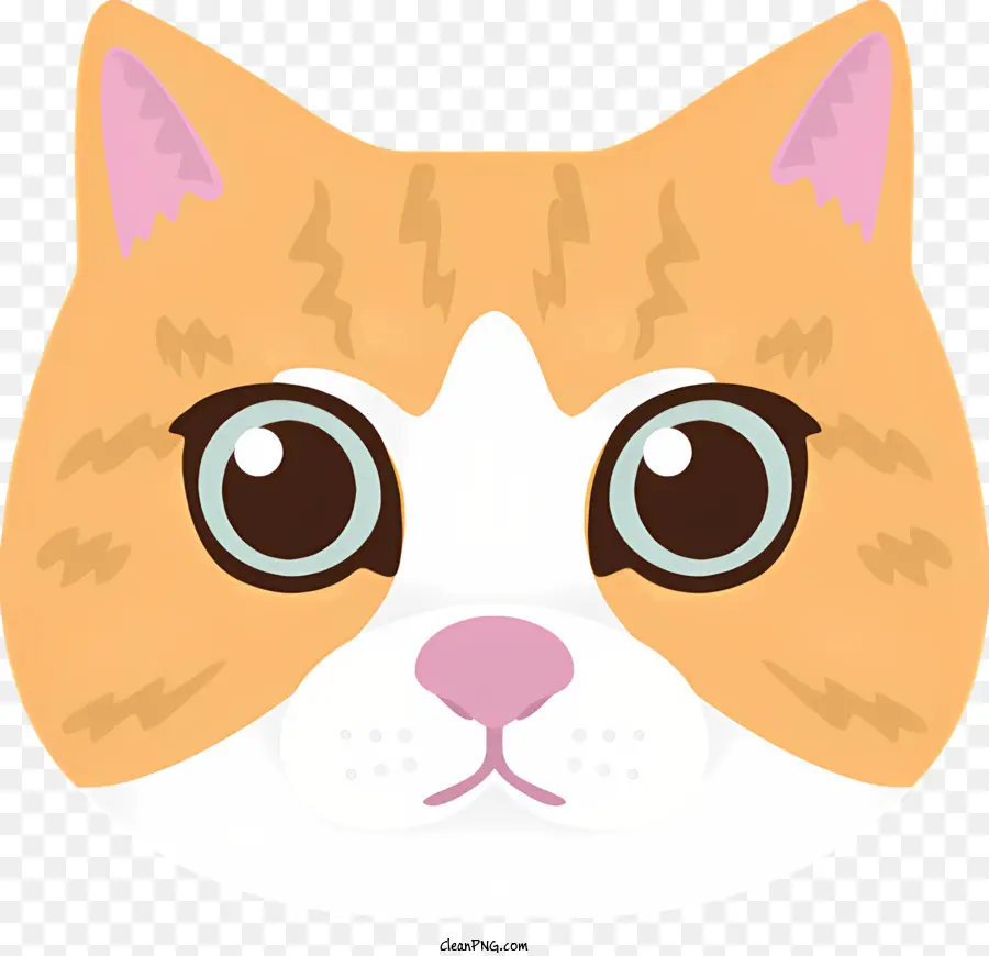 Gato，Cara De Gato PNG