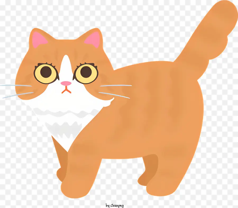 Pequeño Gato Naranja，Gato PNG