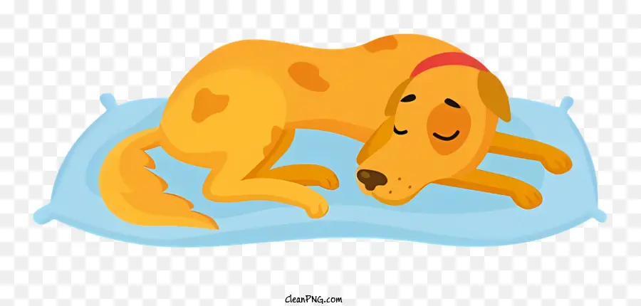 Perro Amarillo，Perro Durmiendo PNG