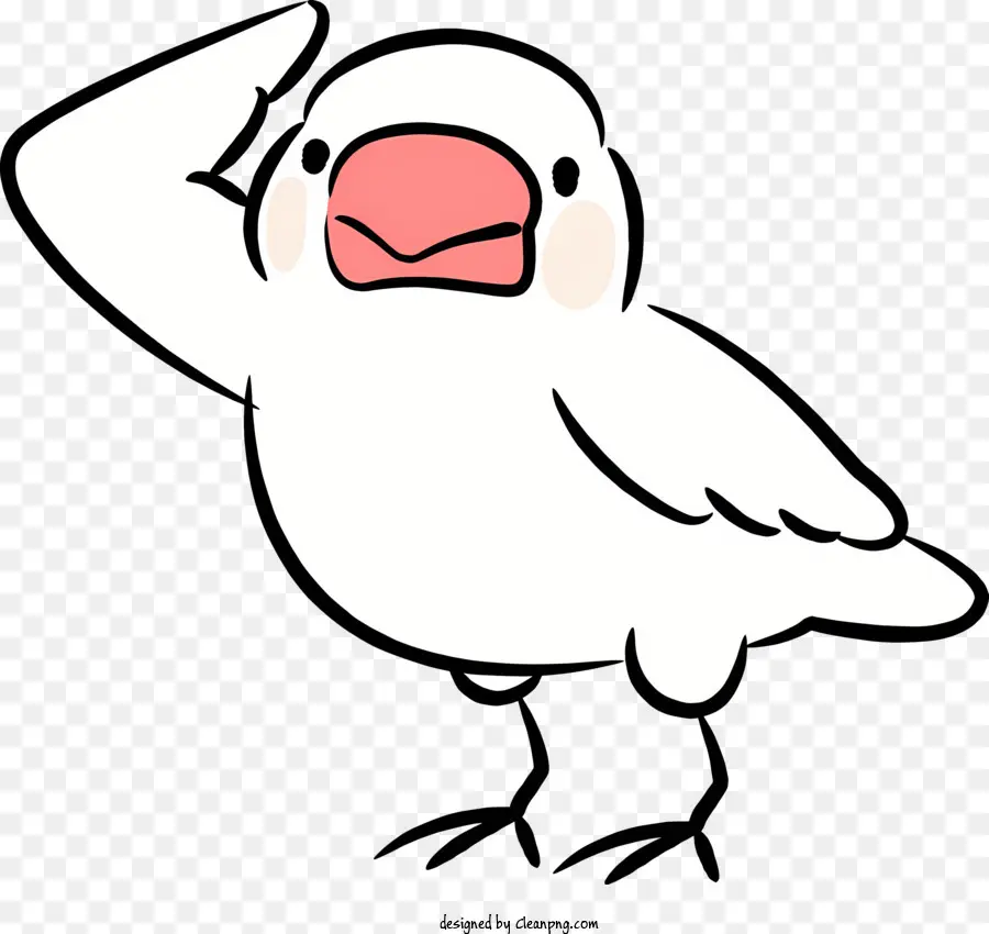 Pájaro Blanco De Dibujos Animados，Pico Rosa PNG