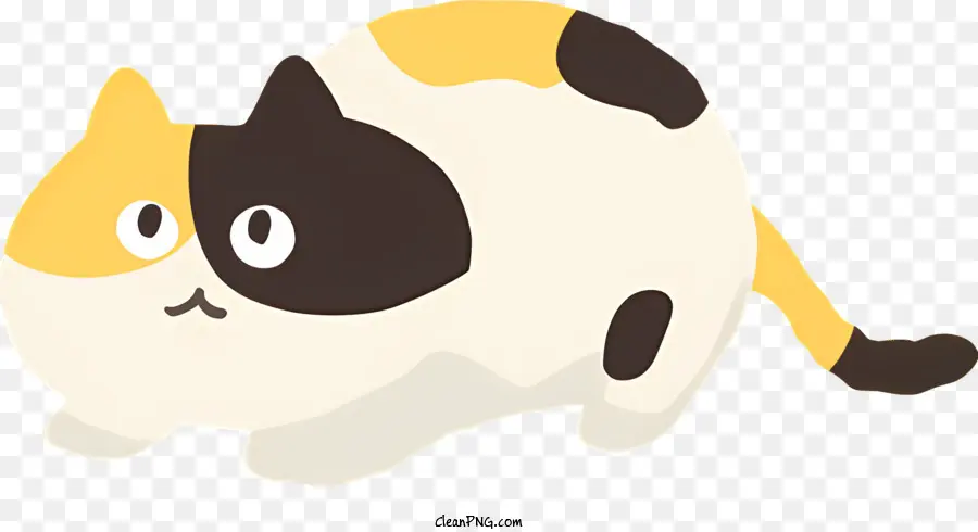 Gato，Manchas Blancas Y Negras PNG