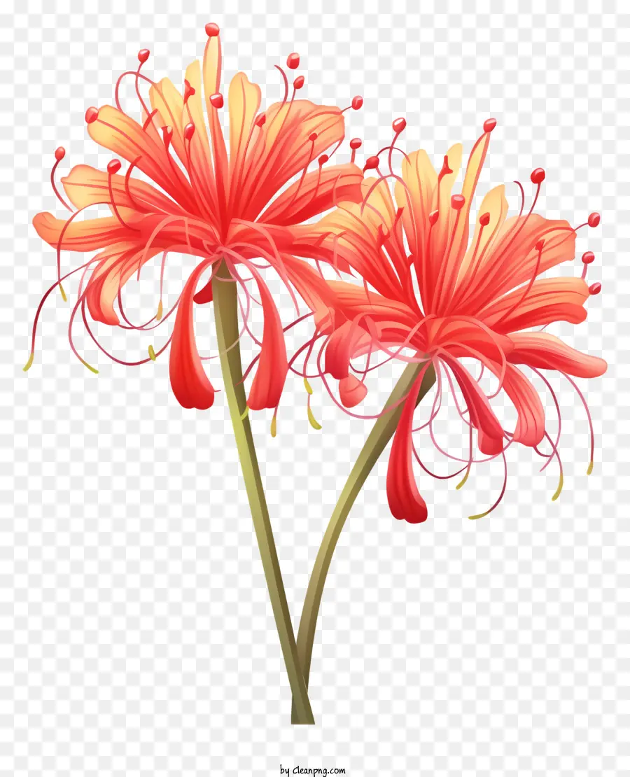 Flores De Color Naranja，Flores Marchitas PNG