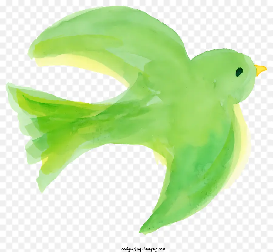 Acuarela De Aves，Ave Que Vuela PNG