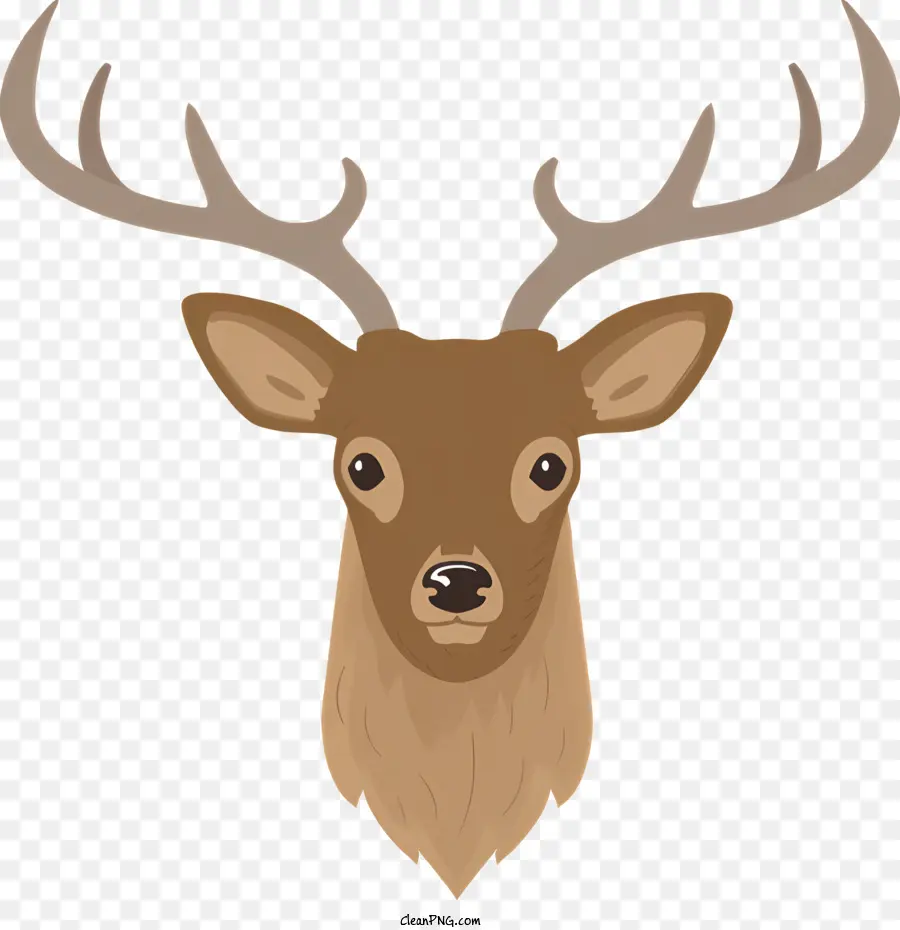 Cabeza De Venado，Lindo Ciervo PNG