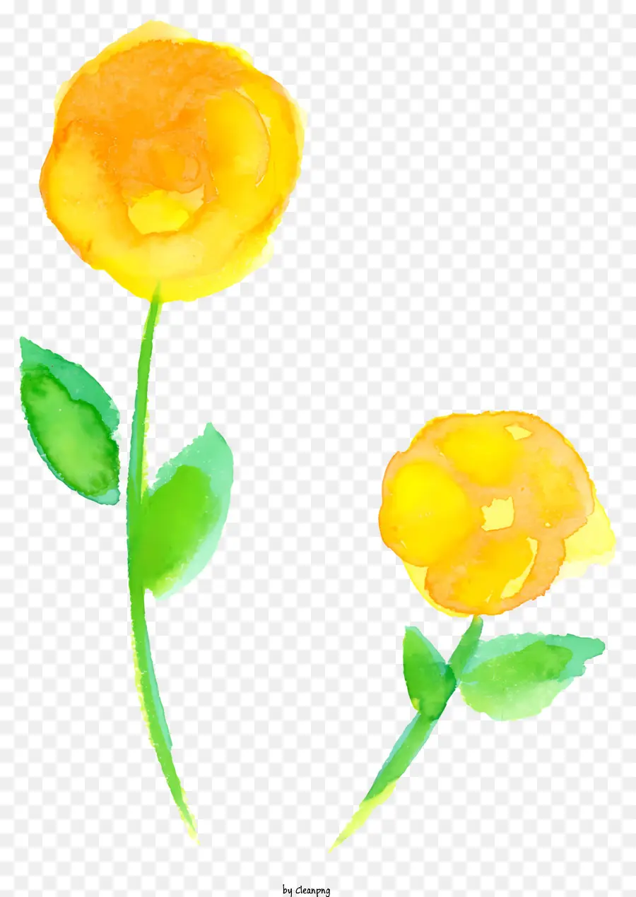 Flor Amarilla，Flor Con Hojas PNG