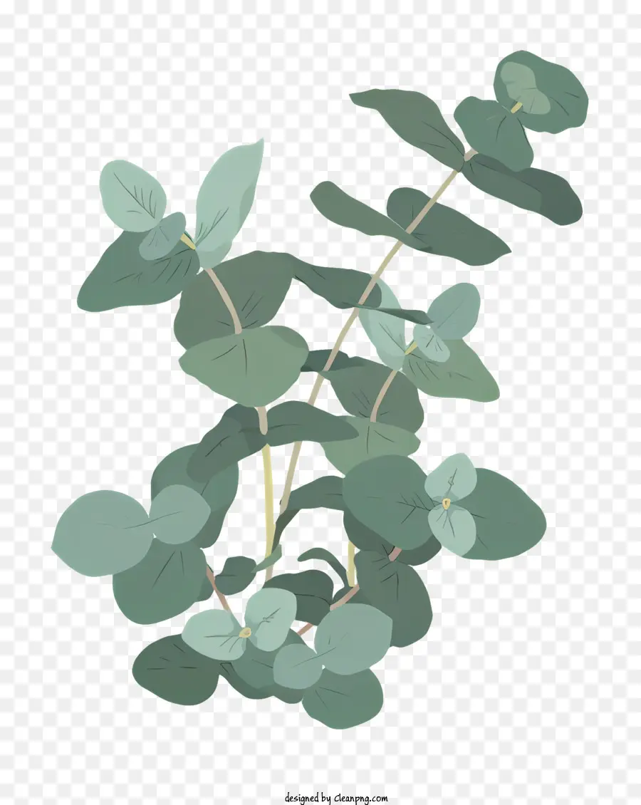 Planta，Hojas Verdes PNG