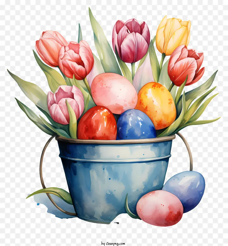 Los Tulipanes，Las Zanahorias PNG