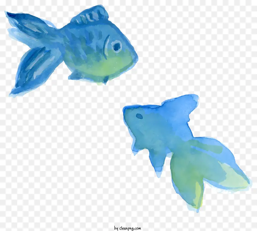 Los Peces，Aletas Azules PNG