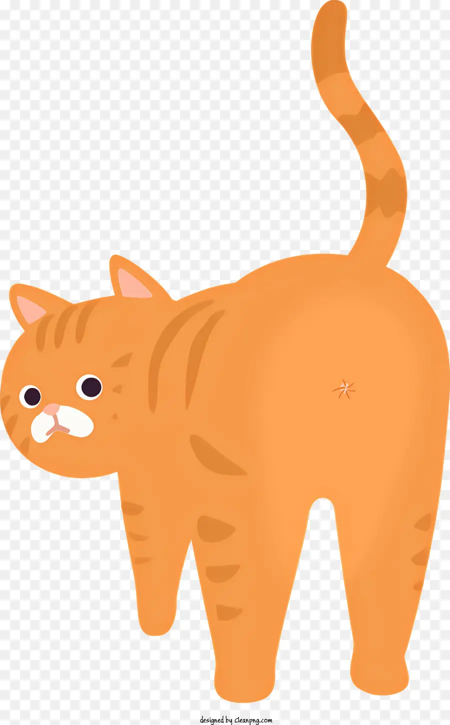 Gato De Color Naranja，Patas Blancas PNG