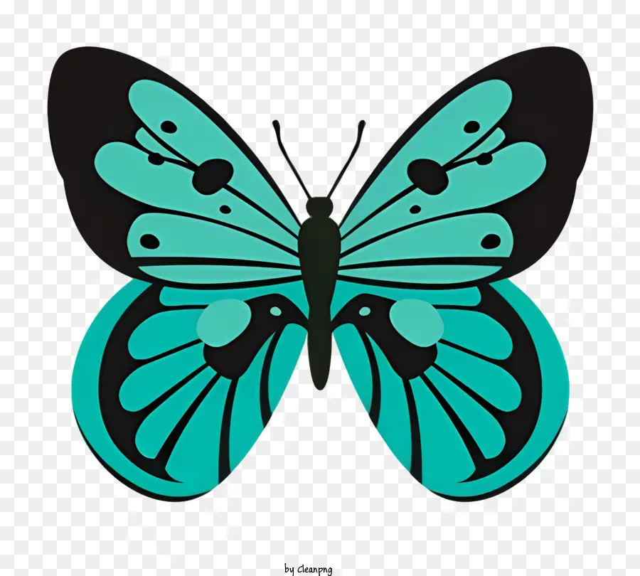 Mariposa，Mariposa Verde Y Negra PNG