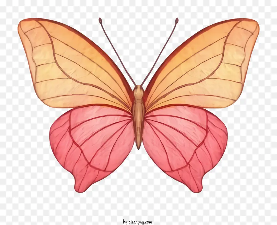 Mariposa，Alas Rosadas PNG