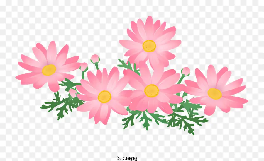 Flores Rosadas，Florecer PNG