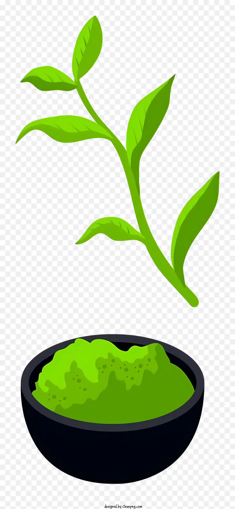 Hojas De Té Verde，Black Background PNG