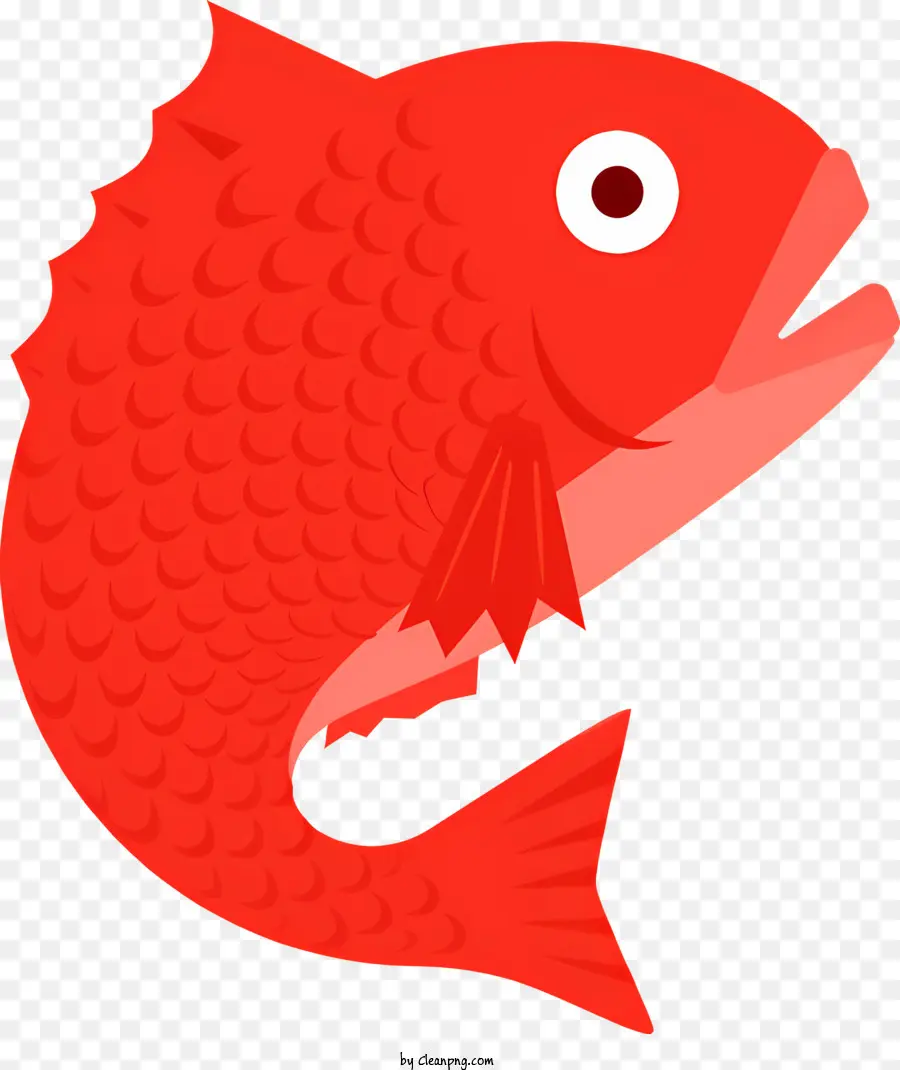 Pez Rojo，Pescado Rojo PNG