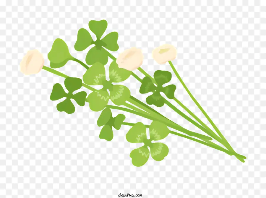 Flor，Trébol PNG