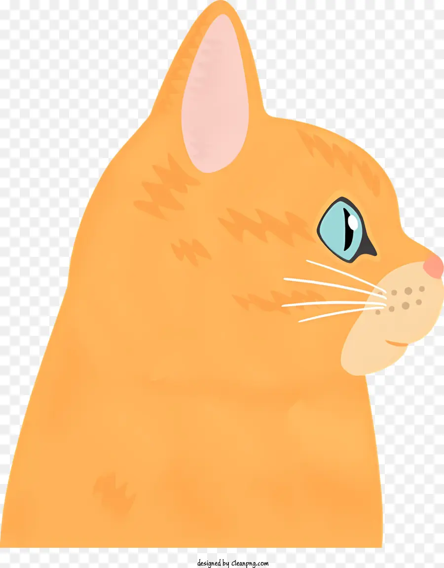 Gato Naranja，Gato Gris PNG