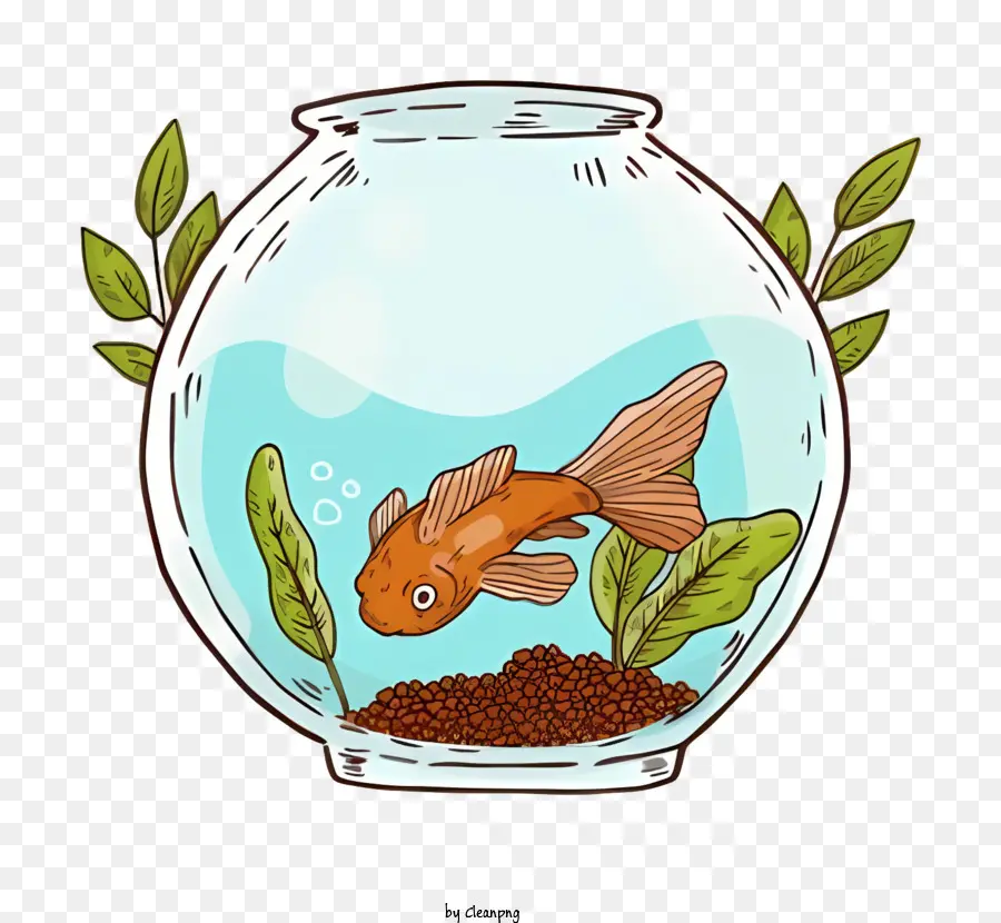 Fish Bowl，Pez PNG