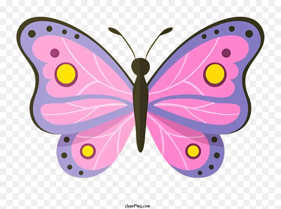 Mariposa，Mariposa Colorida PNG