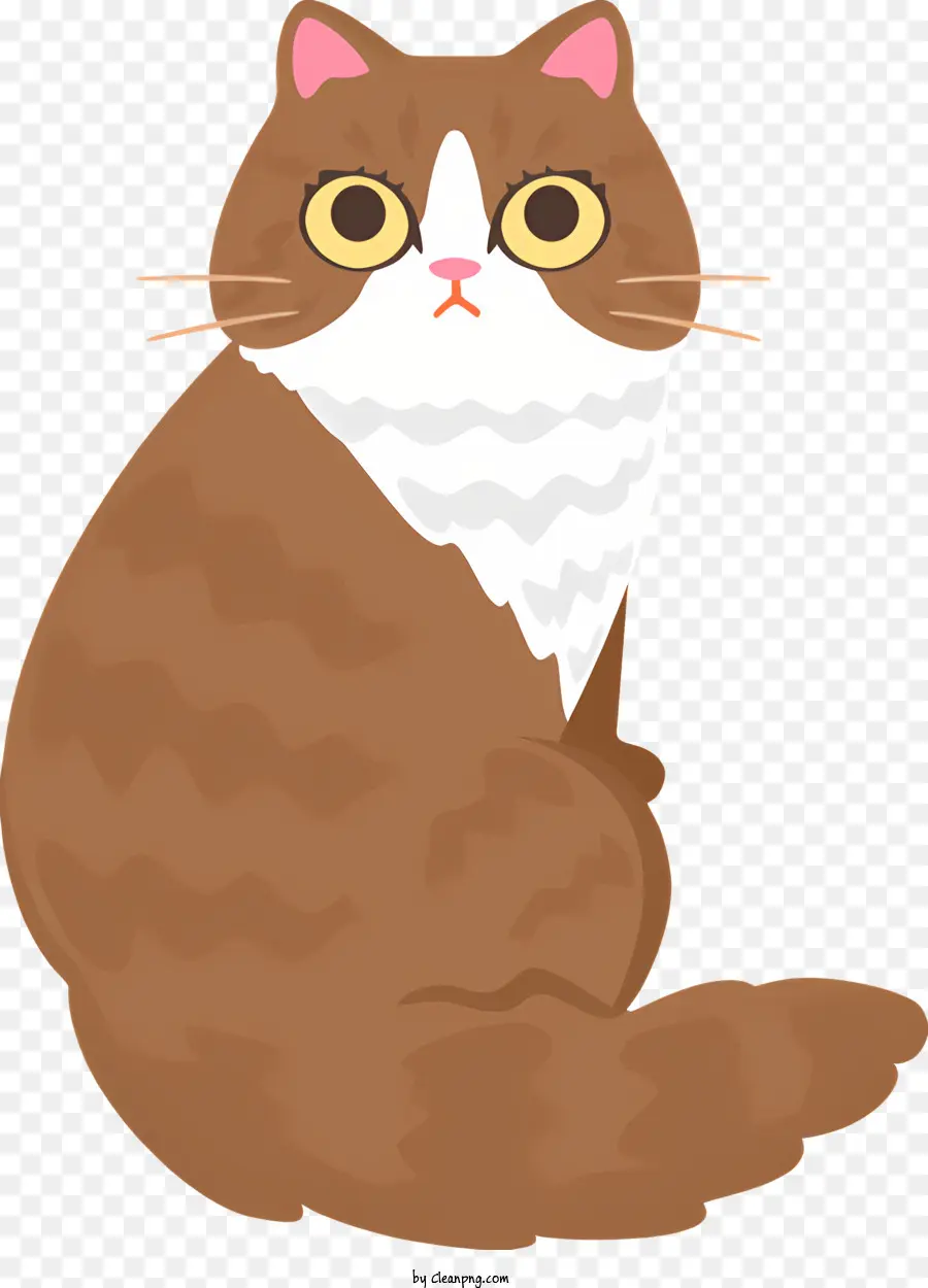 Gato Rayado Marrón Y Blanco，Gato PNG