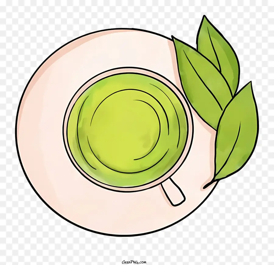 Imagen Dibujada A Mano，Té Verde PNG