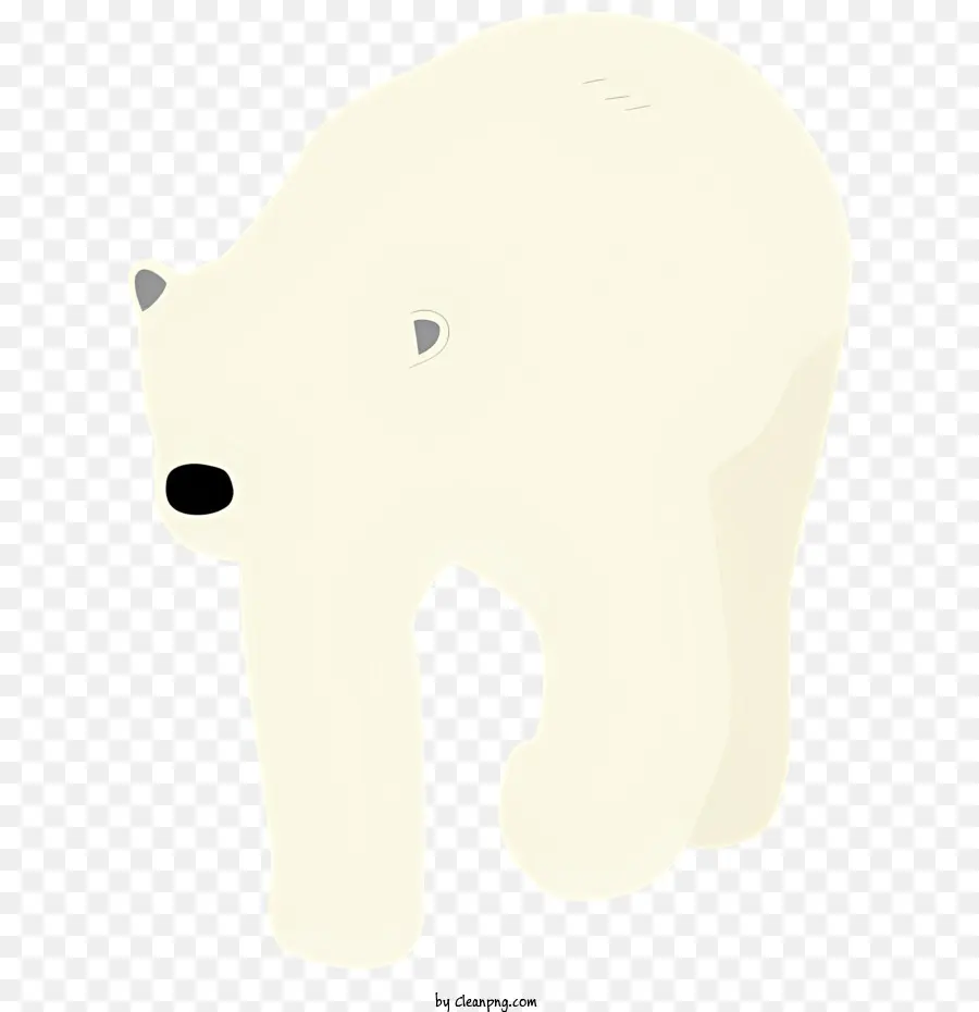 Oso Polar，Oso Blanco PNG