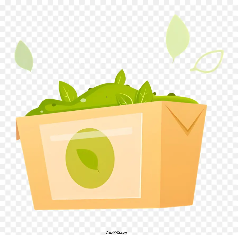 Caja De Cartón，Caja De Hojas PNG